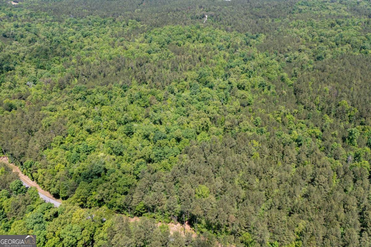 0 Timberwood Road Northwest, Unit 1 White, GA 30184 - Photo 21 of 25 a view of a lush green field