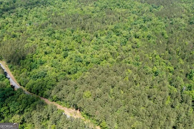 a view of a green field