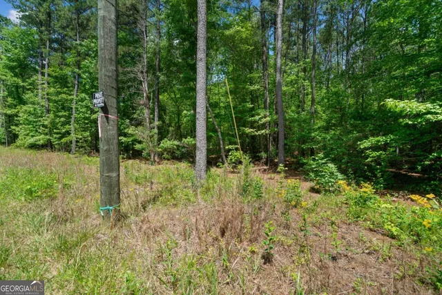 a view of outdoor space and garden