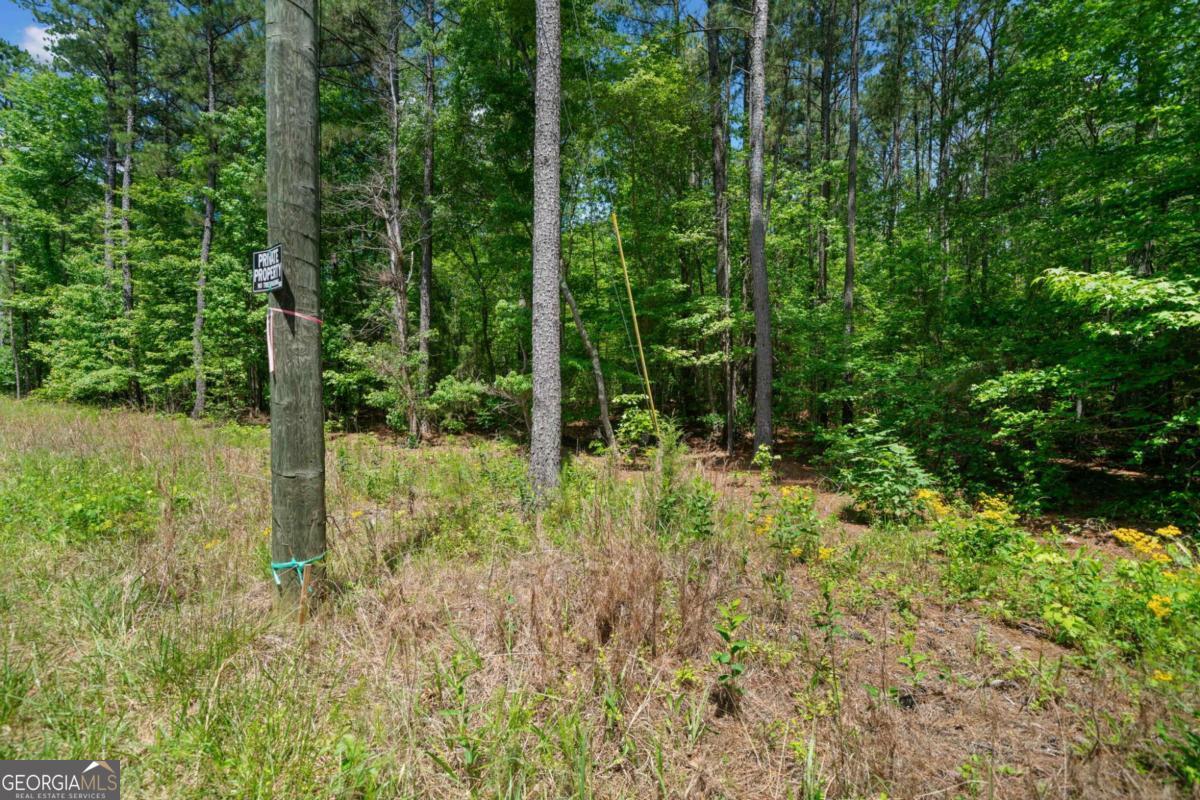 0 Timberwood Road Northwest, Unit 1 White, GA 30184 - Photo 5 of 25 a view of outdoor space and garden