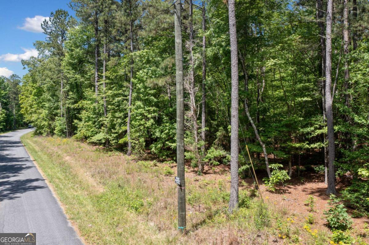 0 Timberwood Road Northwest, Unit 1 White, GA 30184 - Photo 6 of 25 a view of a yard with plants and large trees