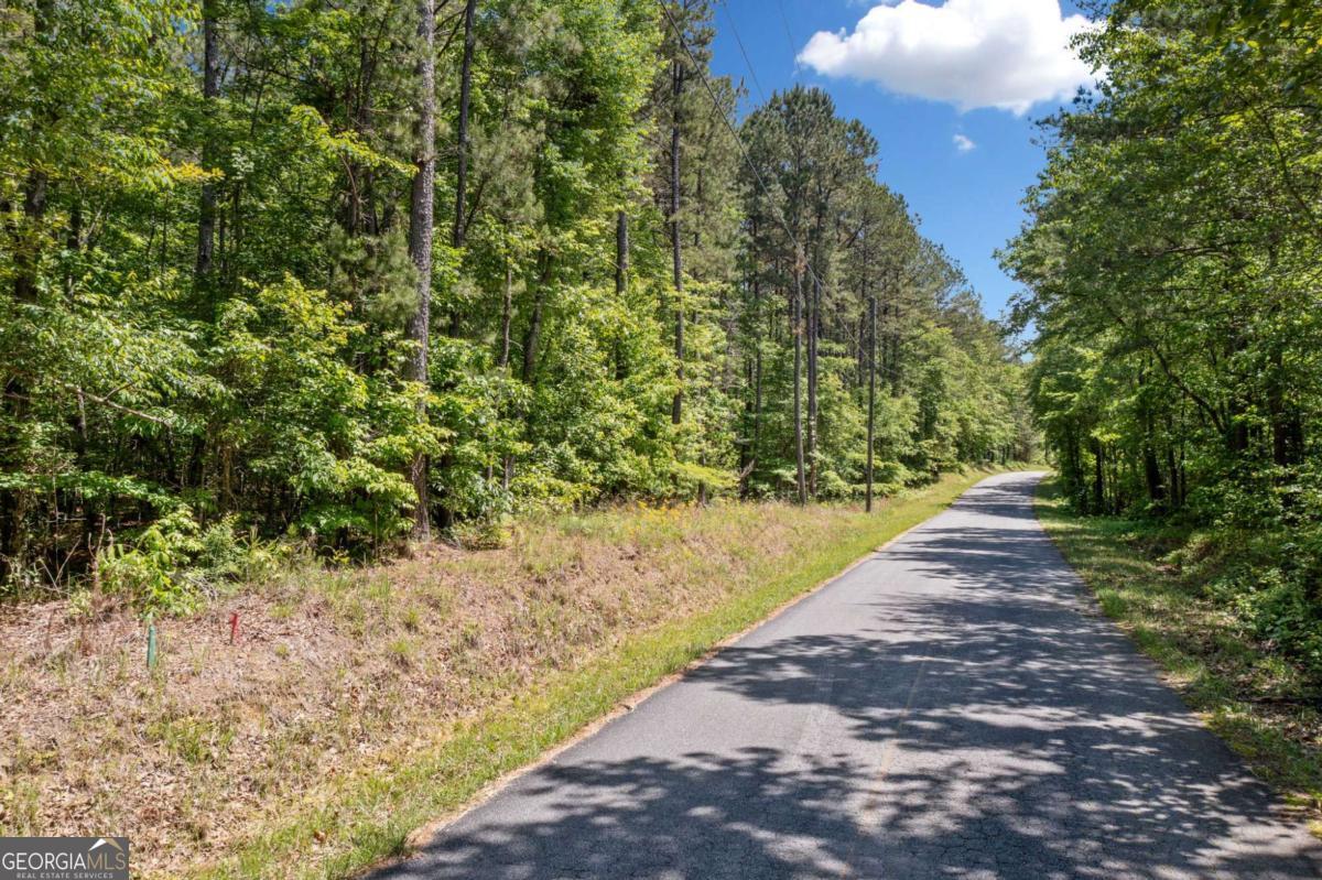 0 Timberwood Road Northwest, Unit 1 White, GA 30184 - Photo 7 of 25 a view of a pathway both side of yard