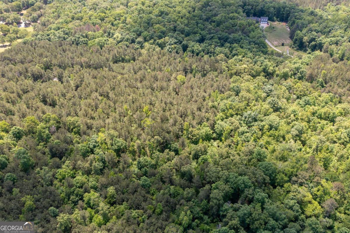 0 Timberwood Road Northwest, Unit 1 White, GA 30184 - Photo 8 of 25 a view of a dry yard