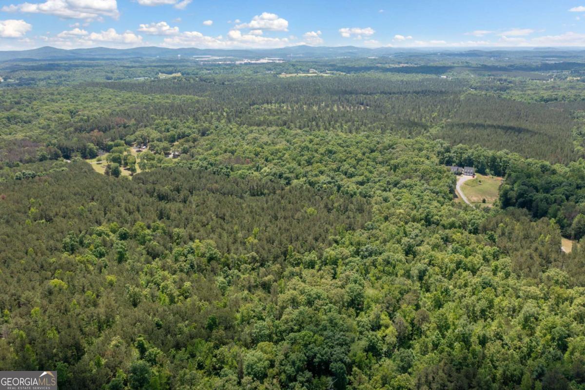 0 Timberwood Road Northwest, Unit 1 White, GA 30184 - Photo 10 of 25 a view of a lake from a yard