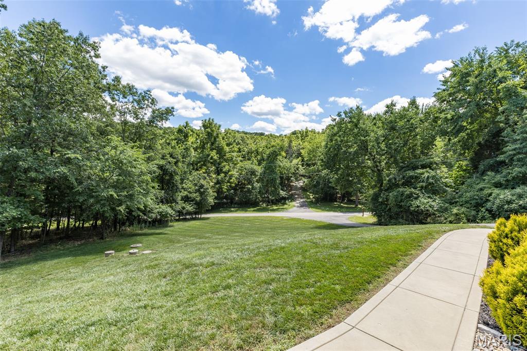 3649 Roads End Acres Road Imperial, MO 63052 - Photo 15 of 54
