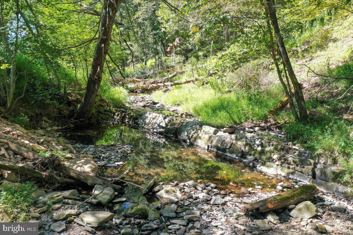 1956 Dove Hollow Road Mathias, WV 26812 - Photo 75 of 113 Stream with Swimming Hole