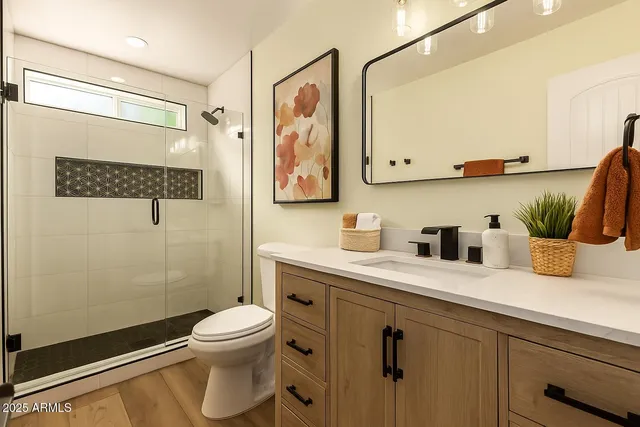 a bathroom with a granite countertop sink a toilet and a mirror