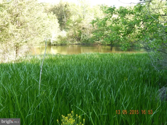 a view of a lake view with a garden