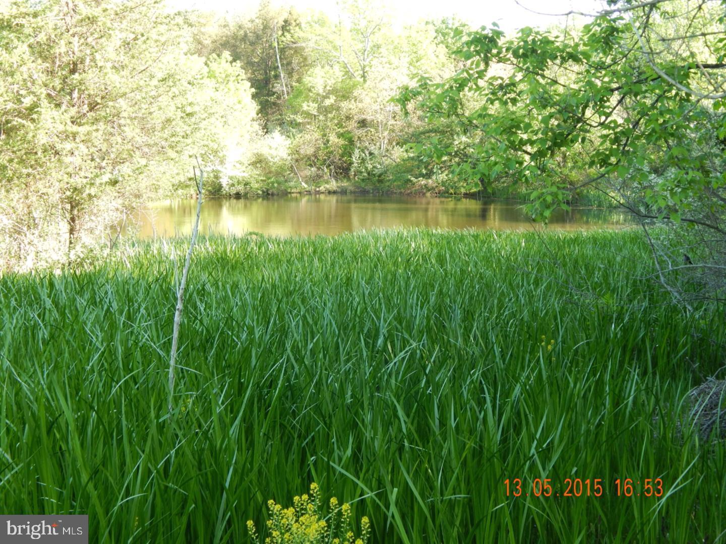 295 East Dark Hollow Road Pipersville, PA 18947 - Photo 2 of 11 a view of a lake view with a garden