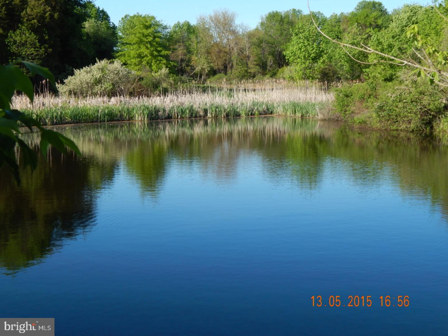 295 East Dark Hollow Road Pipersville, PA 18947 - Photo 3 of 11 a view of a lake with houses