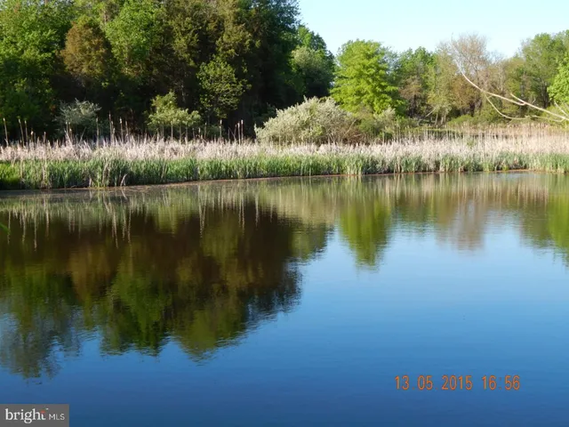 a view of a lake in between two large trees