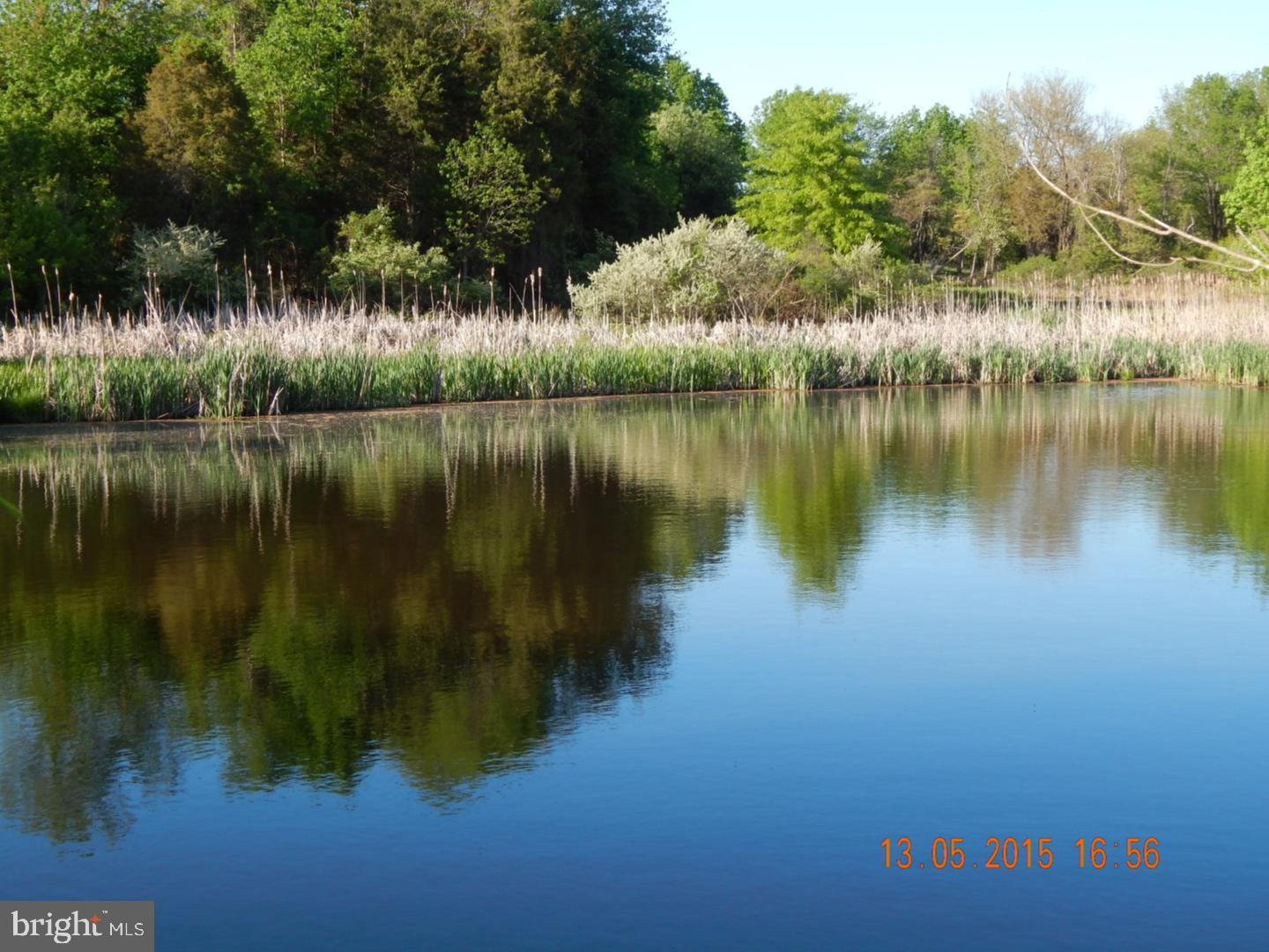 295 East Dark Hollow Road Pipersville, PA 18947 - Photo 4 of 11 a view of a lake in between two large trees