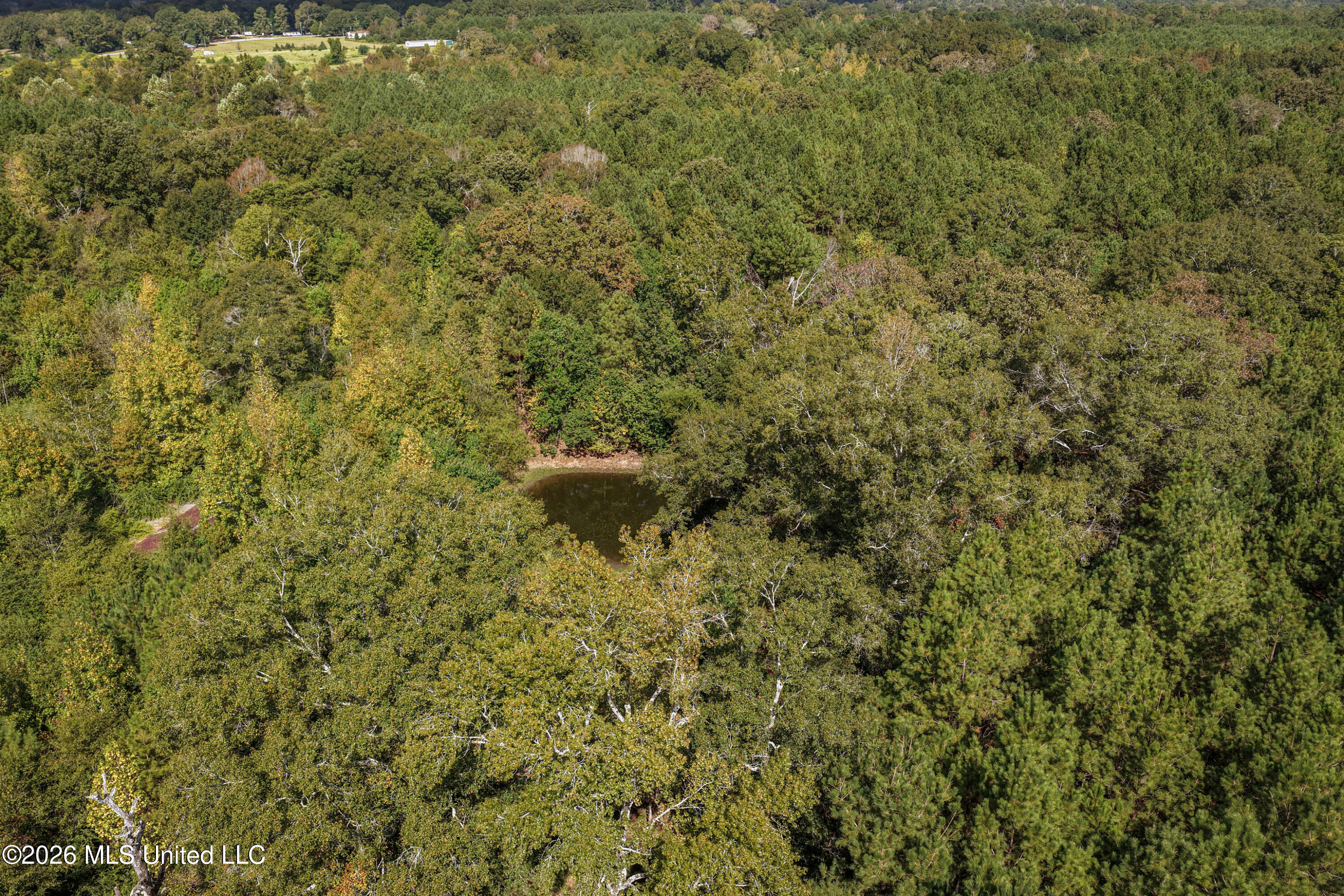 Allen Lane Magnolia, MS 39652 - Photo 3 of 21 DJI_20261002104741_0137_D