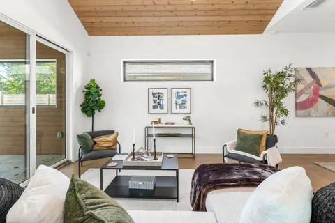 a living room with furniture and a potted plant
