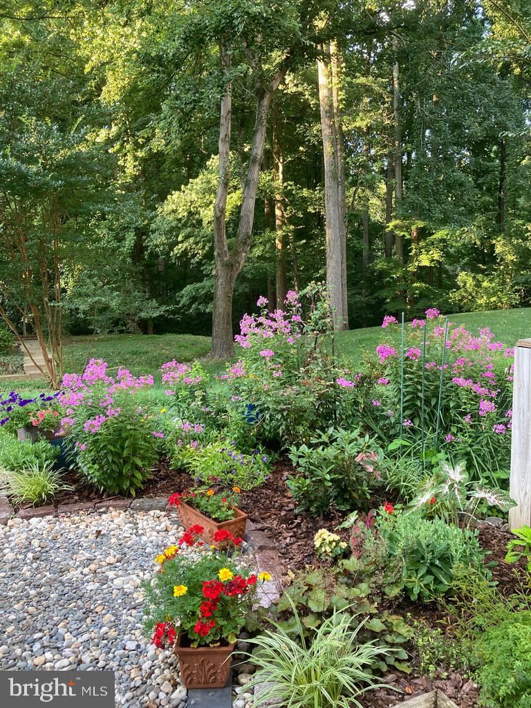 2351 Generation Drive Reston, VA 20191 - Photo 9 of 50