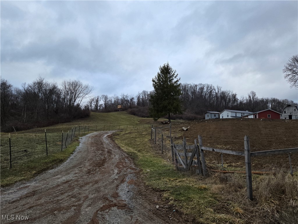 56537 Beaver Valley Road Quaker City, OH 43773 - Photo 27 of 31 View of road featuring a rural view
