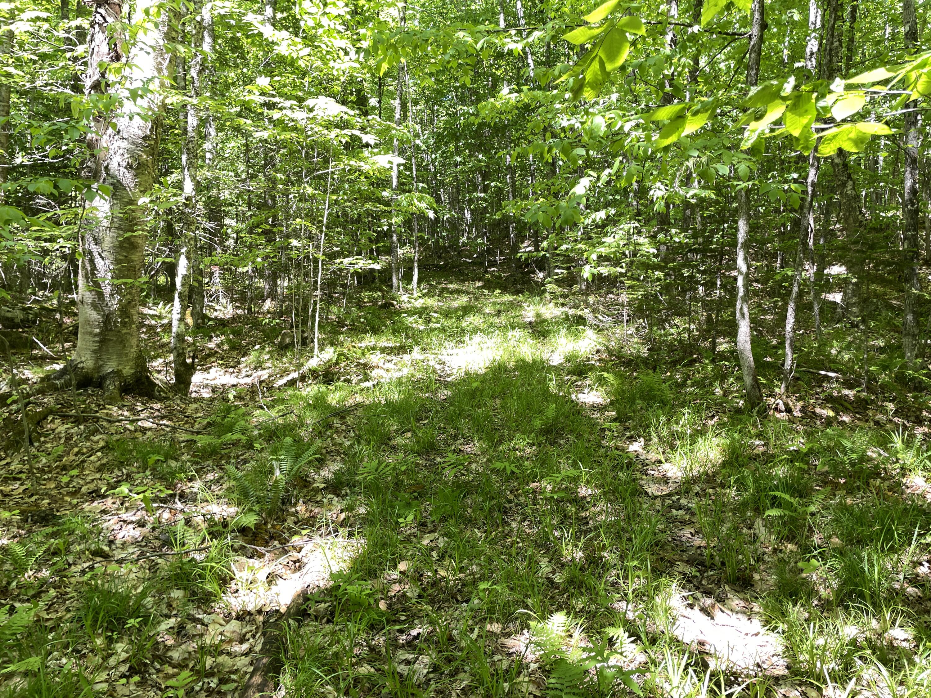 117 Brown Road Harmony, ME 04942 - Photo 22 of 23 IMG_5109