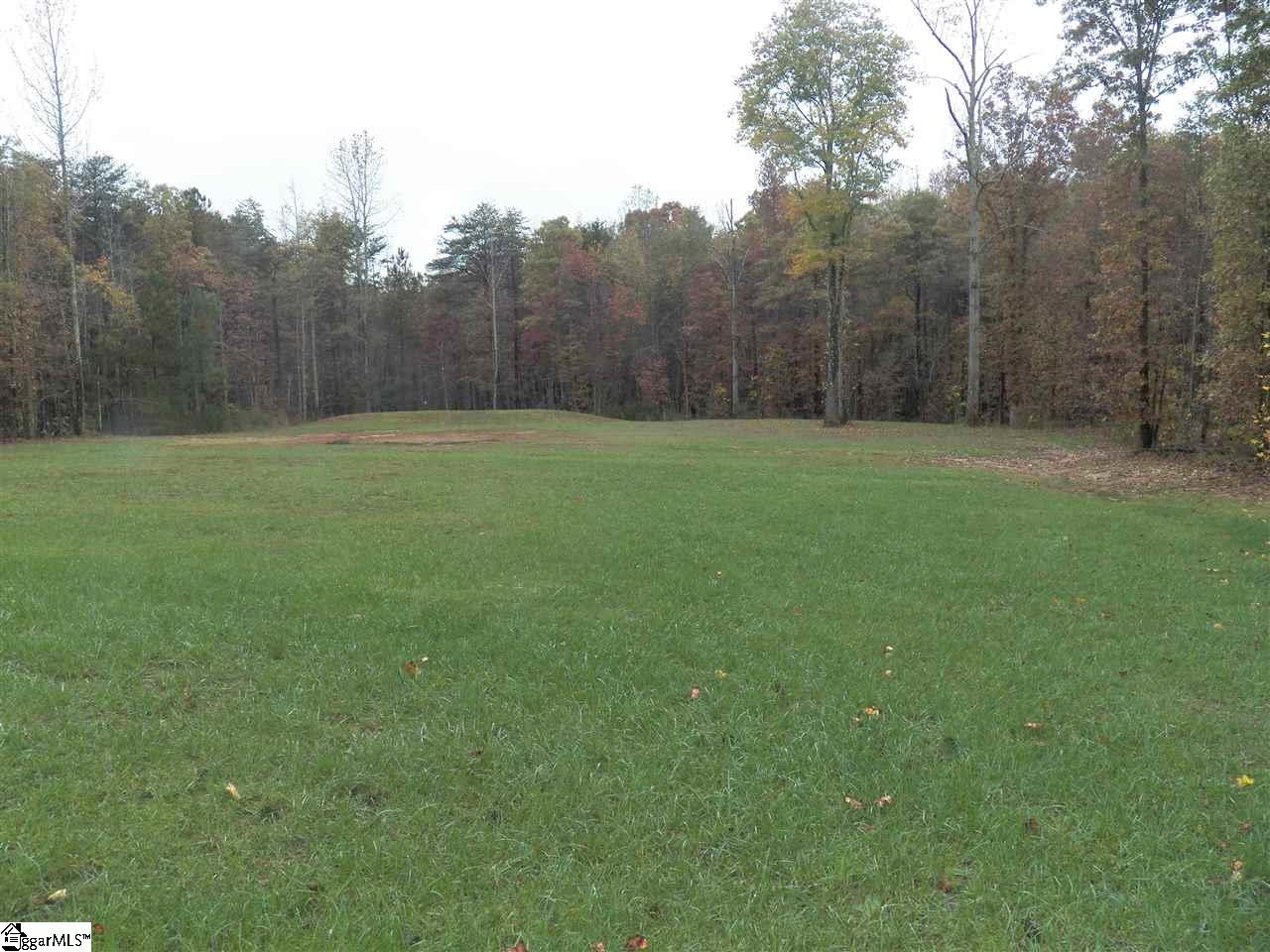 970 Motlow School Road Campobello, SC 29322 - Photo 13 of 13