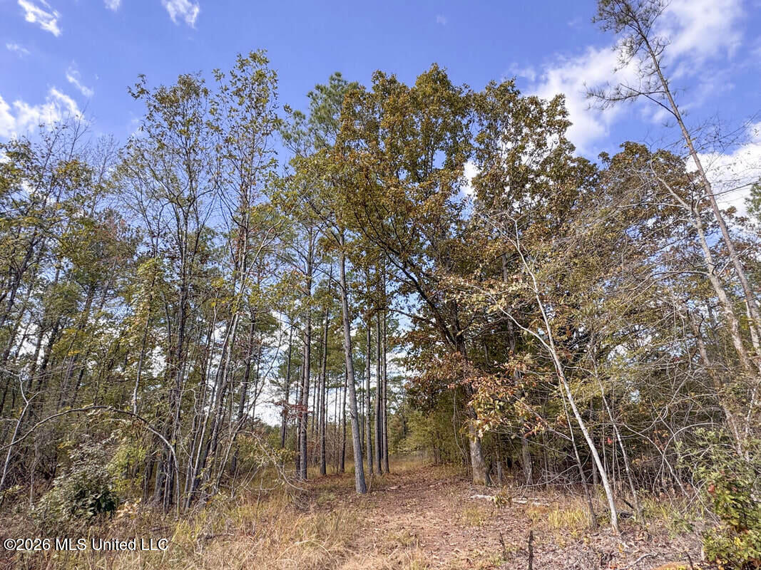 154 County Road Tillatoba, MS 38961 - Photo 49 of 58 4kgrdnyba17-orig_orig