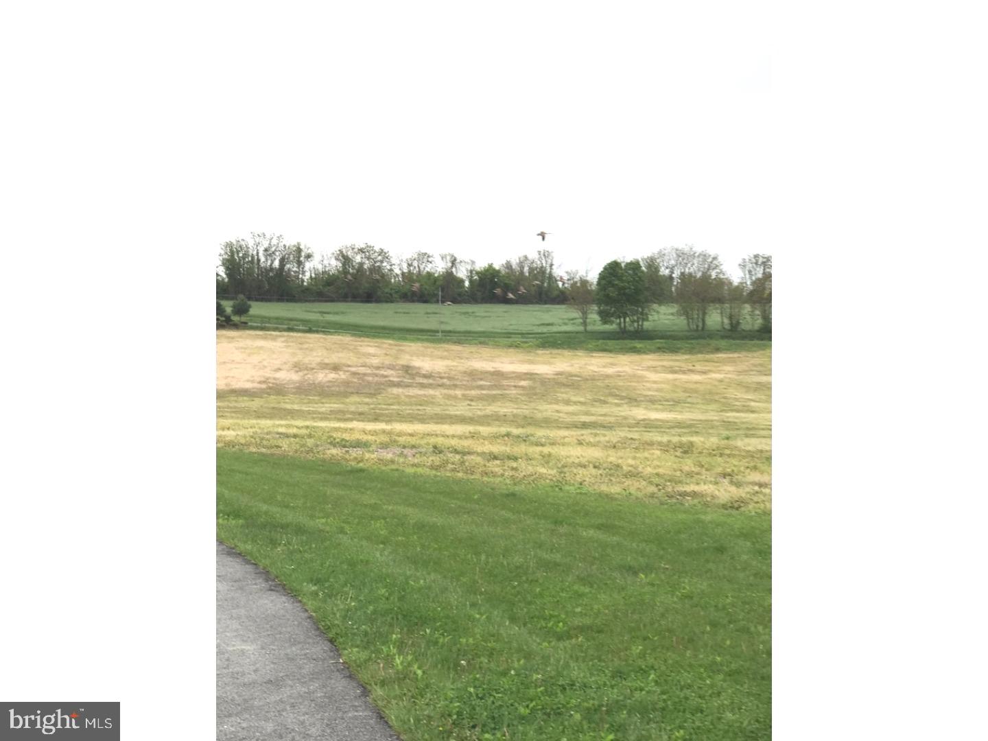 Lot 1 Paper Mill Road Sinking Spring, PA 19608 - Photo 2 of 5 View 2
