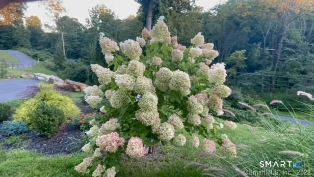 71 Ledges Road Ridgefield, CT 06877 - Photo 32 of 34 Gallery Image 32