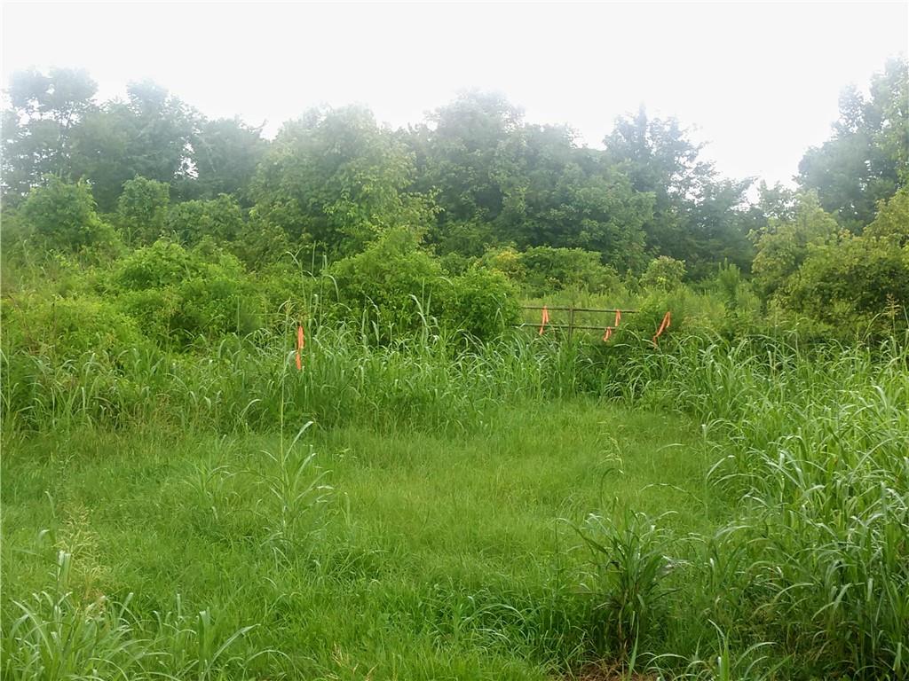 0 Marco Road Lena, LA 71447 - Photo 2 of 3 Gallery Image 2