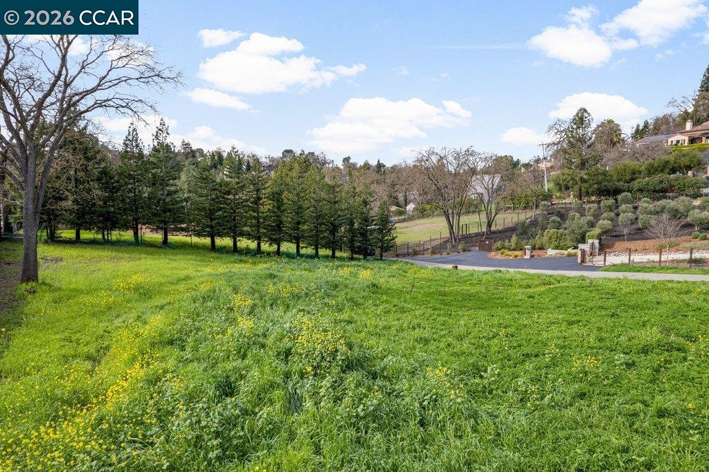 550 El Pintado Road Danville, CA 94526 - Photo 14 of 20 a view of a park with large trees