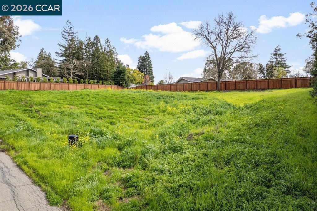 550 El Pintado Road Danville, CA 94526 - Photo 16 of 20 a view of yard with grass and trees