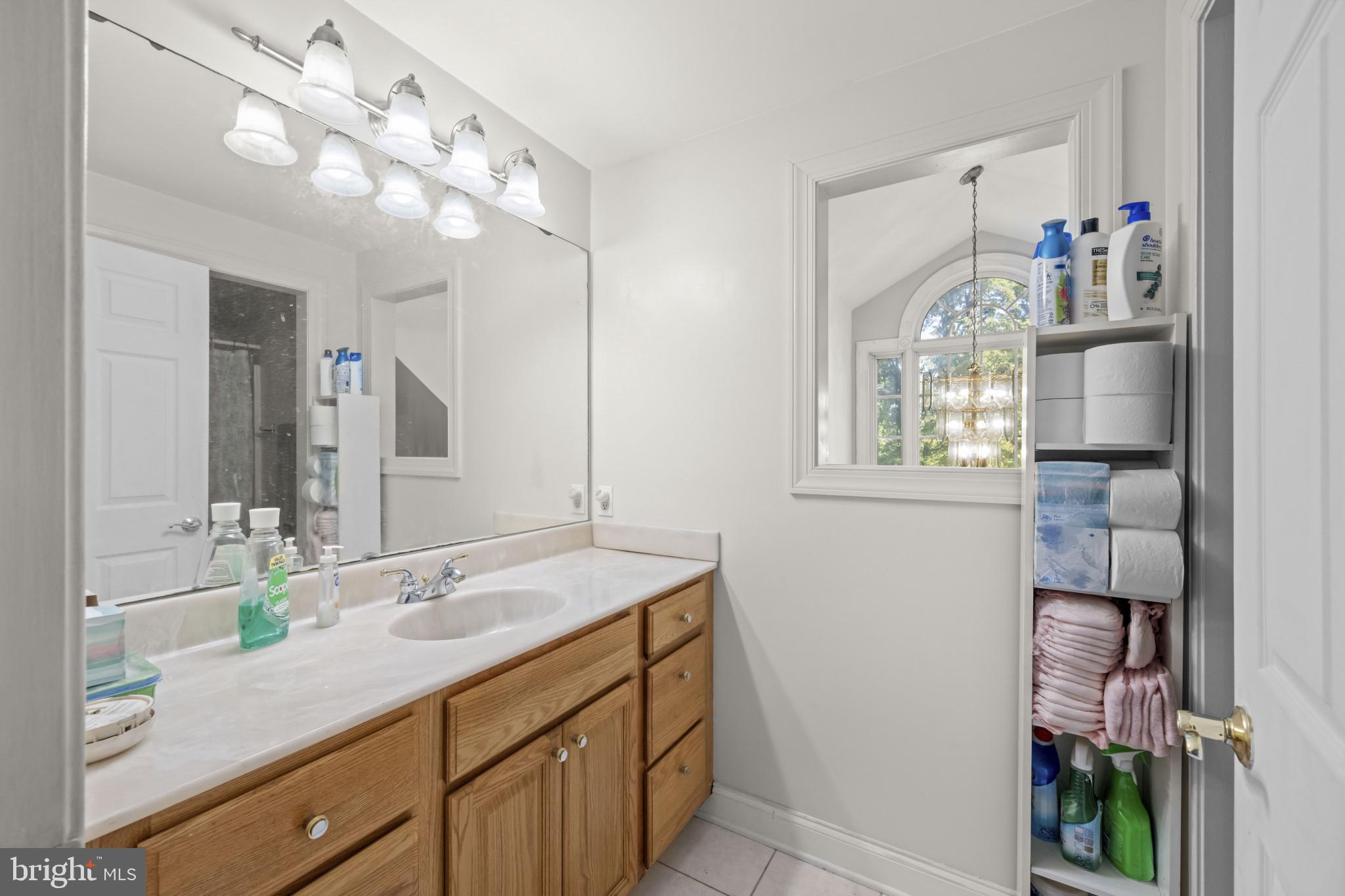 194 Cook Road Delta, PA 17314 - Photo 29 of 35 a bathroom with a sink vanity and a mirror