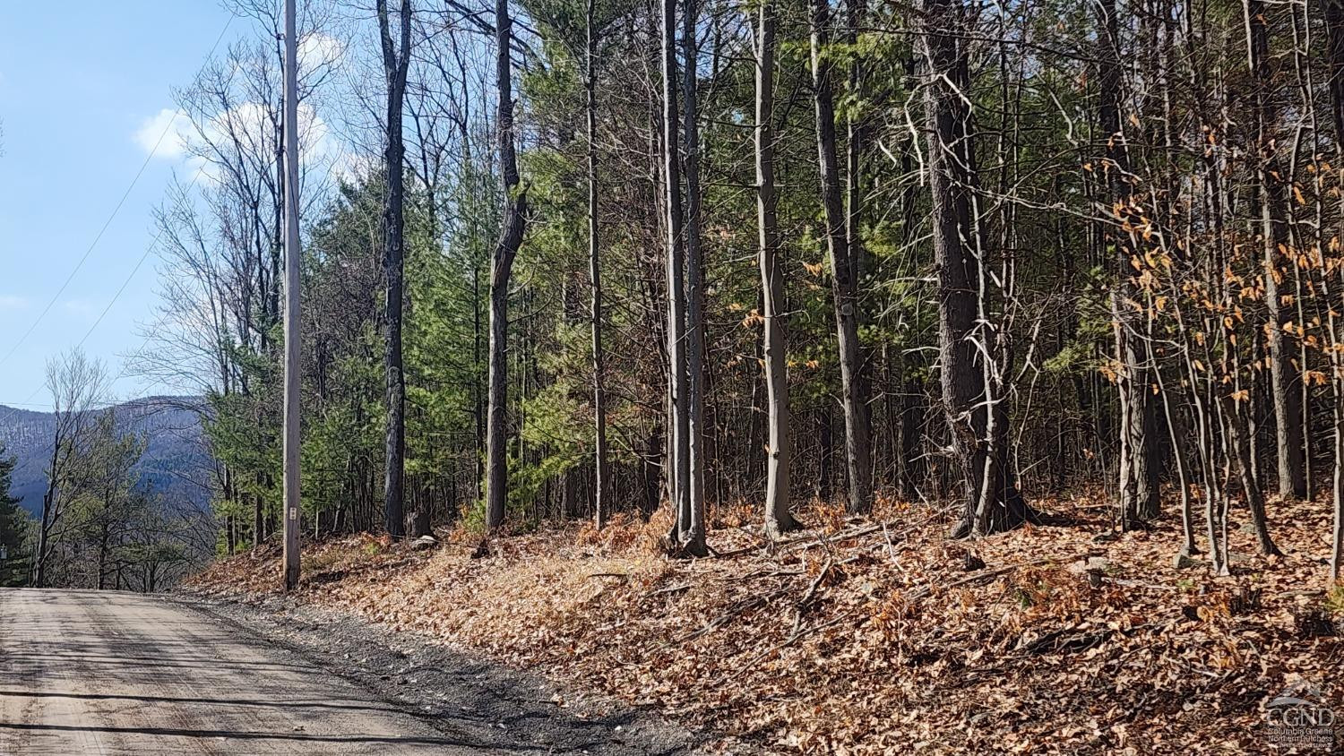 Undisclosed Address Durham, NY 12423 - Photo 2 of 9 a view of a forest with trees