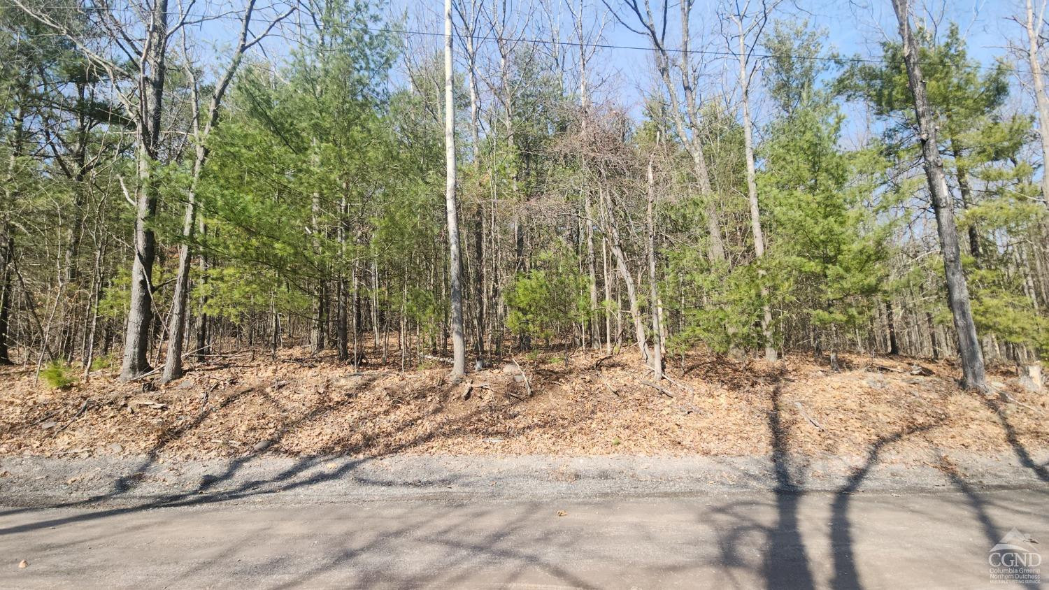 Undisclosed Address Durham, NY 12423 - Photo 3 of 9 a view of a yard covered in snow