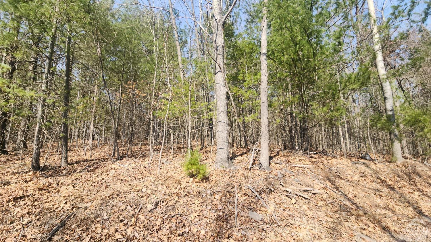Undisclosed Address Durham, NY 12423 - Photo 4 of 9 a view of covered with snow