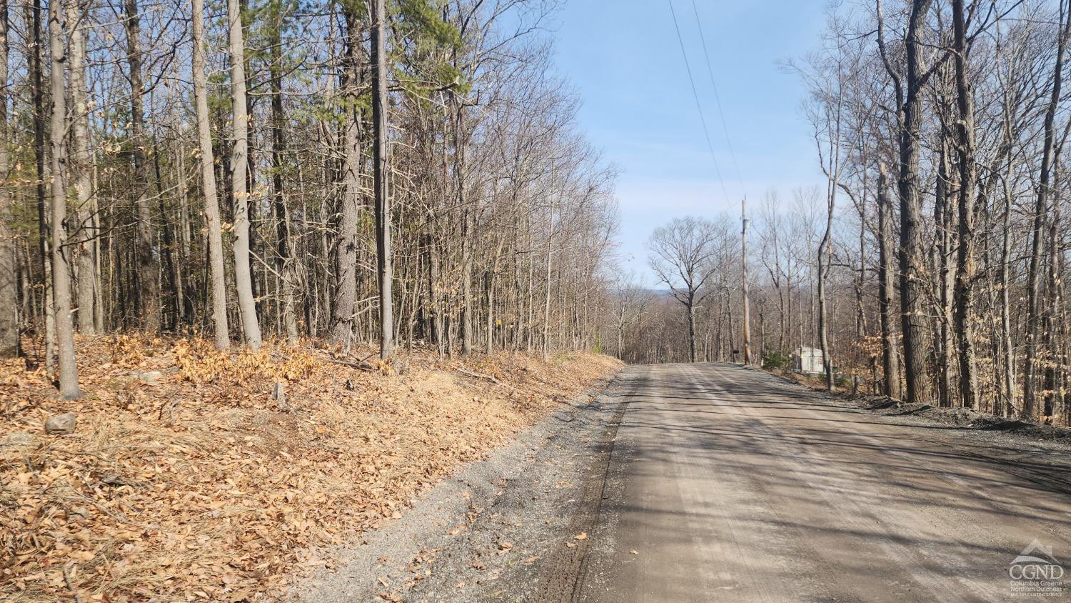 Undisclosed Address Durham, NY 12423 - Photo 6 of 9 a view of a backyard of the house