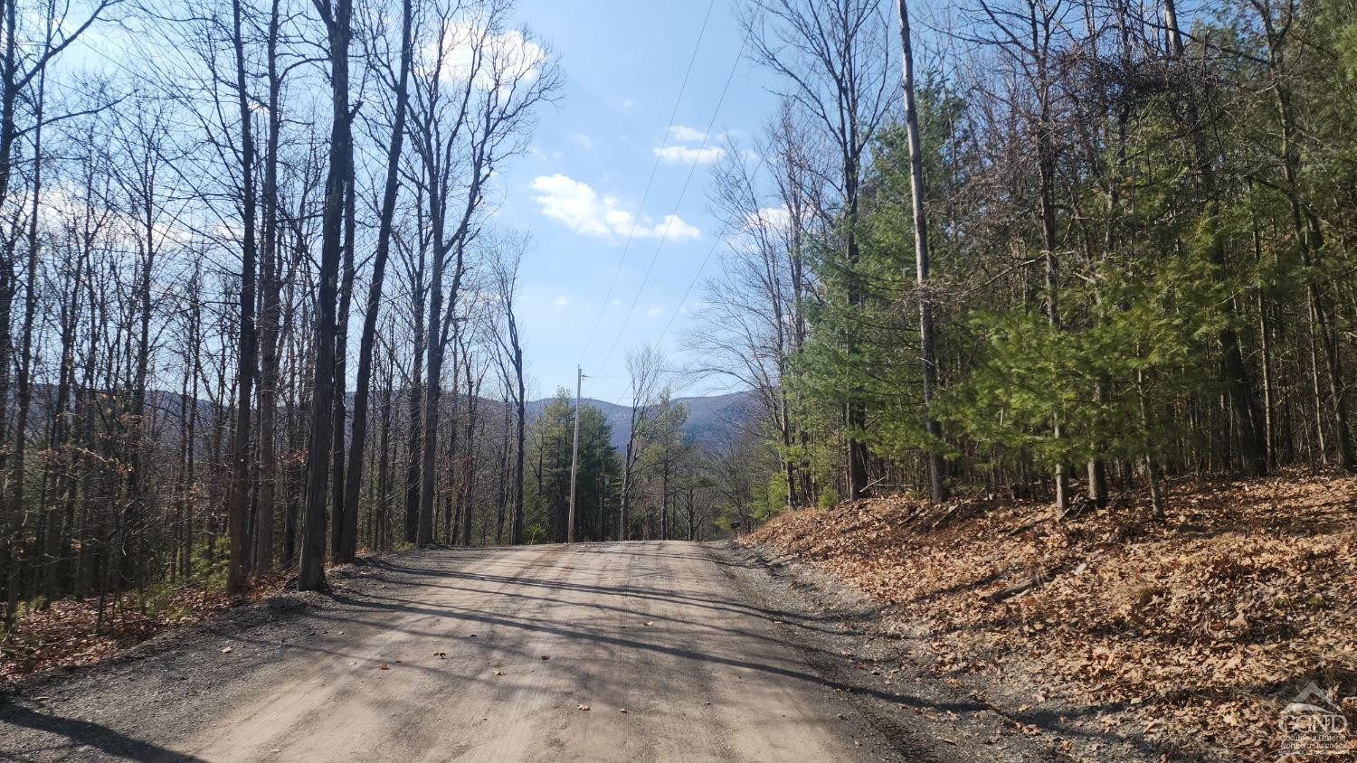 Undisclosed Address Durham, NY 12423 - Photo 8 of 9