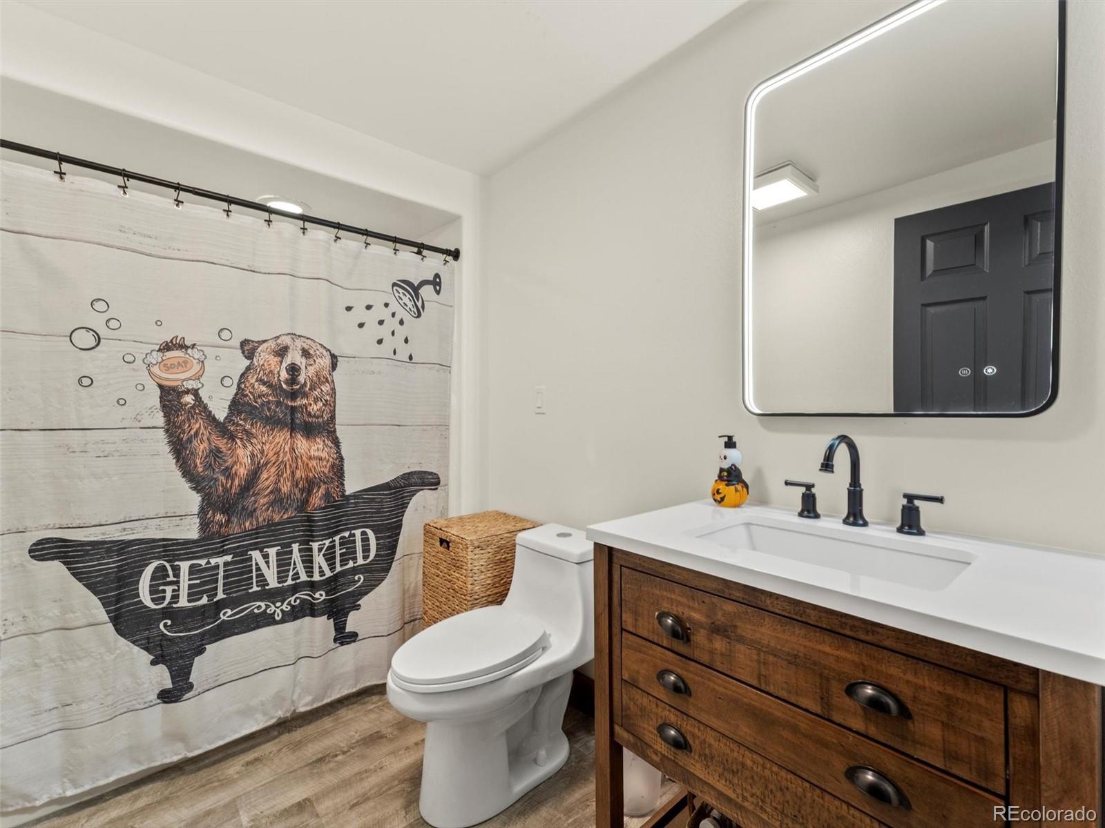 9459 South Turkey Creek Road Morrison, CO 80465 - Photo 19 of 25 a bathroom with a toilet a sink and mirror
