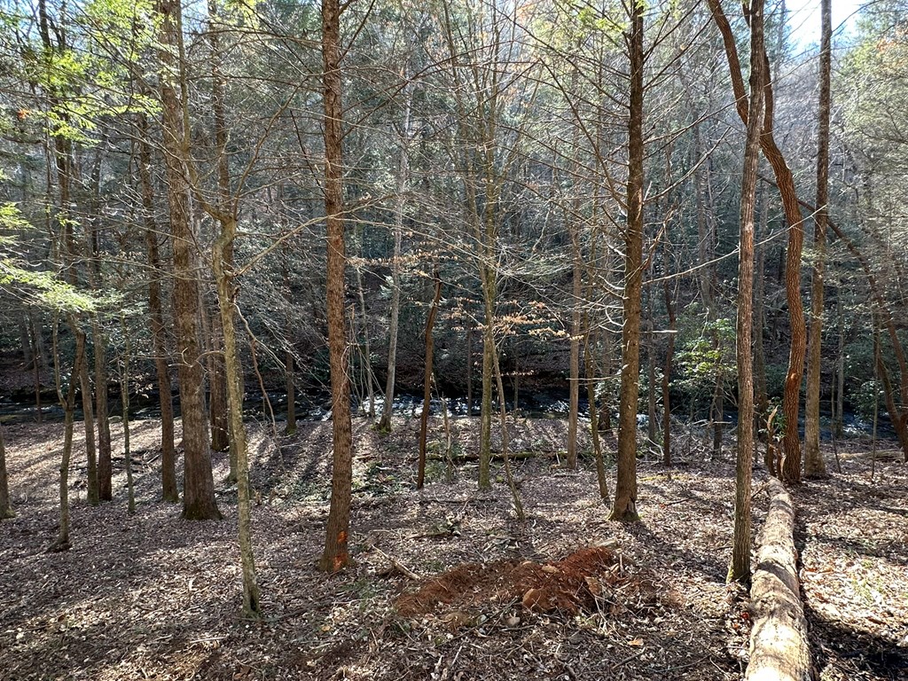 1 Big Creek Road Cherry Log, GA 30522 - Photo 16 of 37 Gallery Image 16