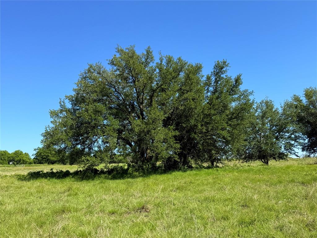 913 North Rice Street Hamilton, TX 76531 - Photo 19 of 28
