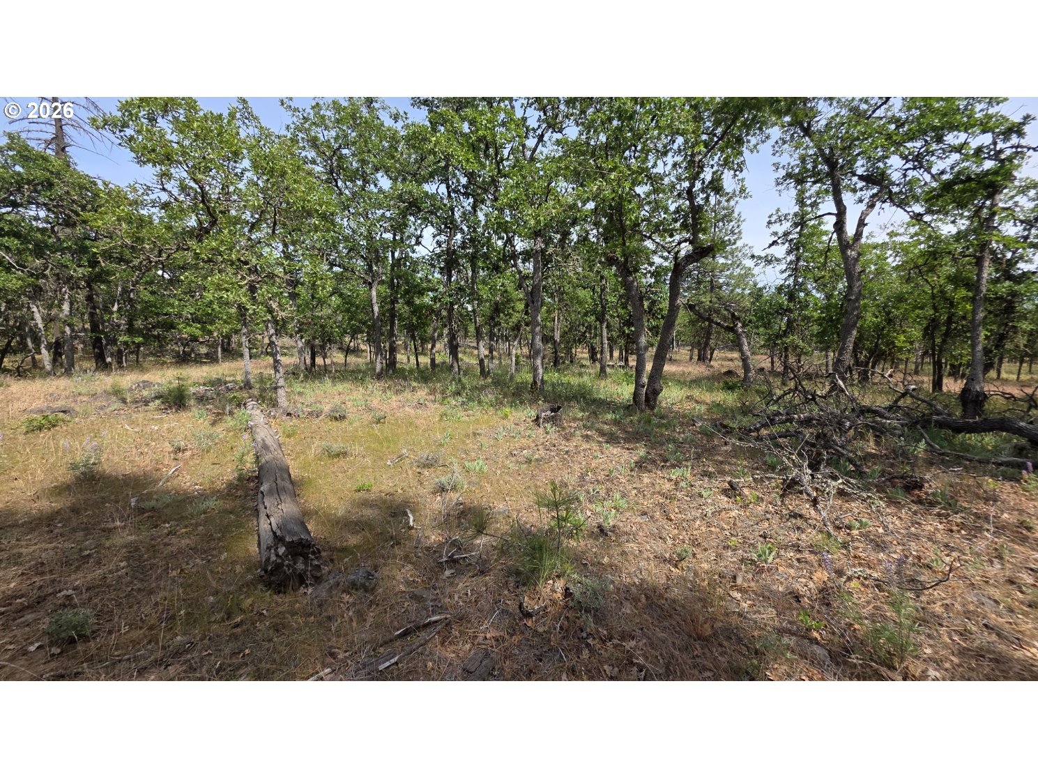 119 Lot Goldendale, WA 98620 - Photo 24 of 29 a open area