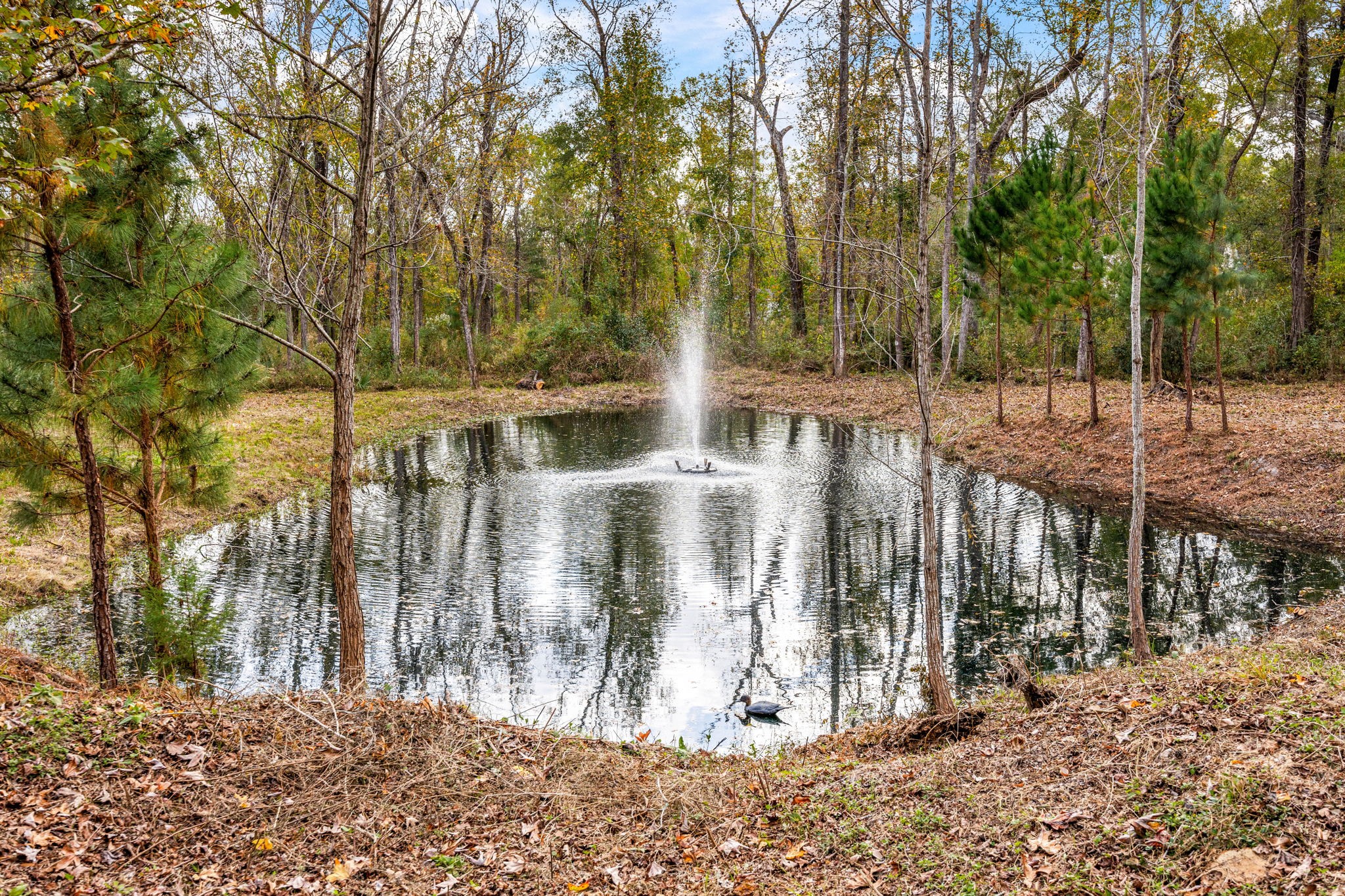 14882 Gingham Road Montgomery, TX 77356 - Photo 39 of 41