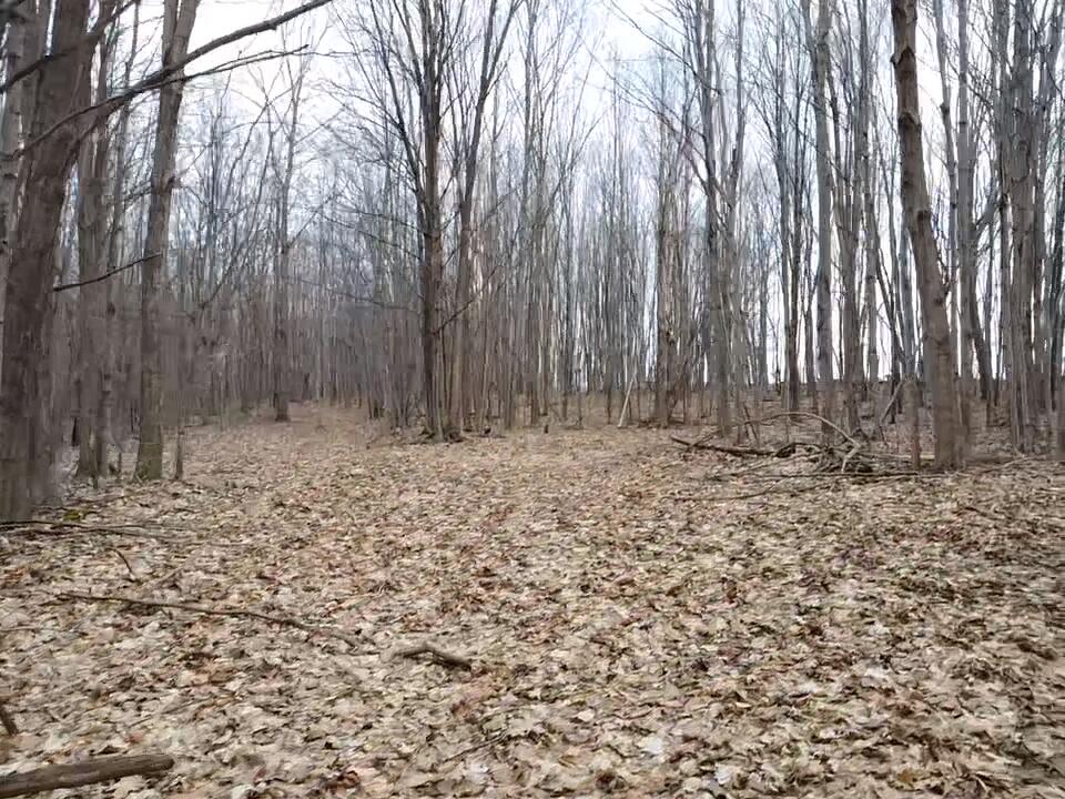 East Dodge Road Clio, MI 48420 - Photo 25 of 39 26