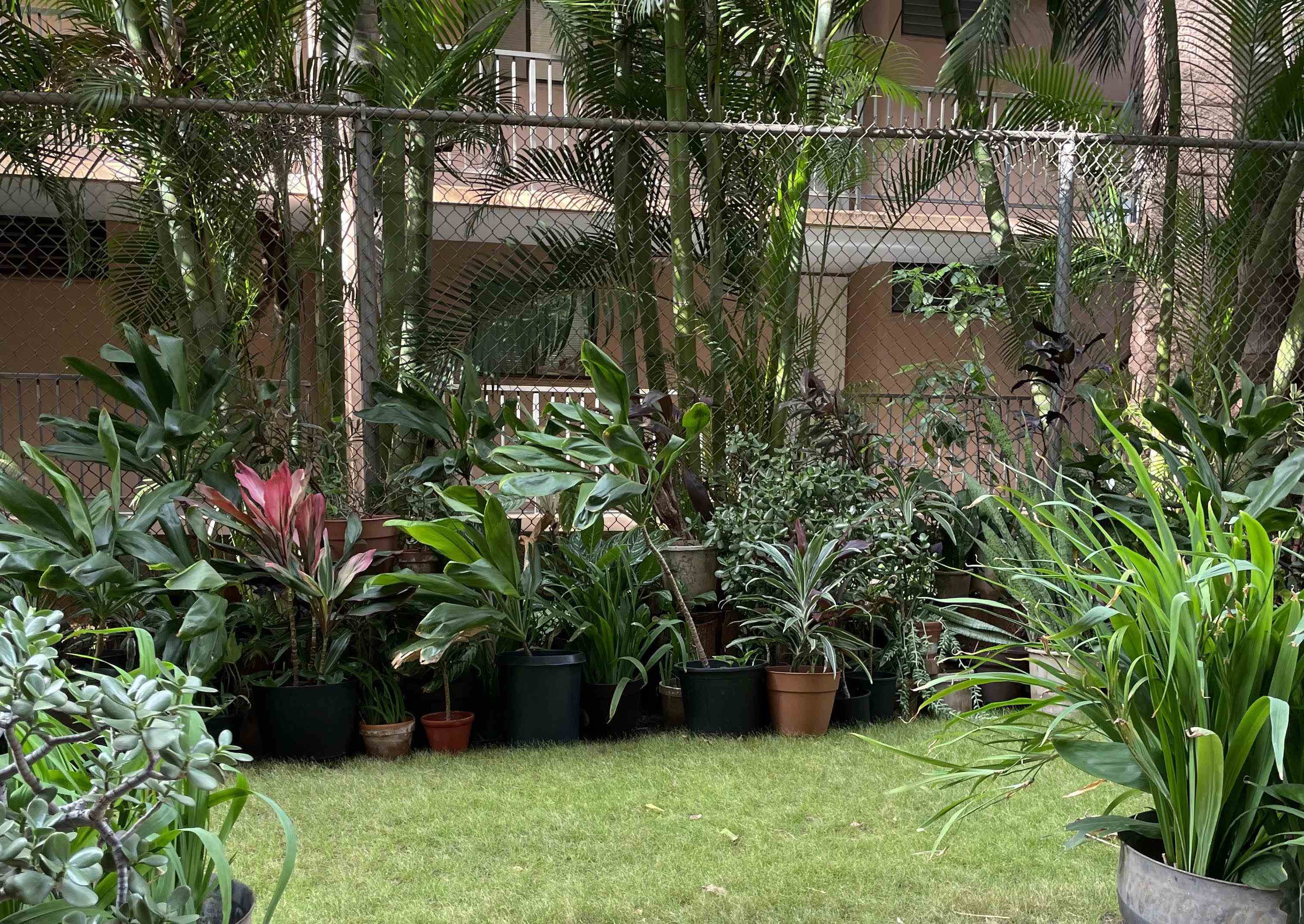 3676 Lower Honoapiilani Road, Unit E102 Lahaina, HI 96761 - Photo 10 of 16 Gallery Image 10