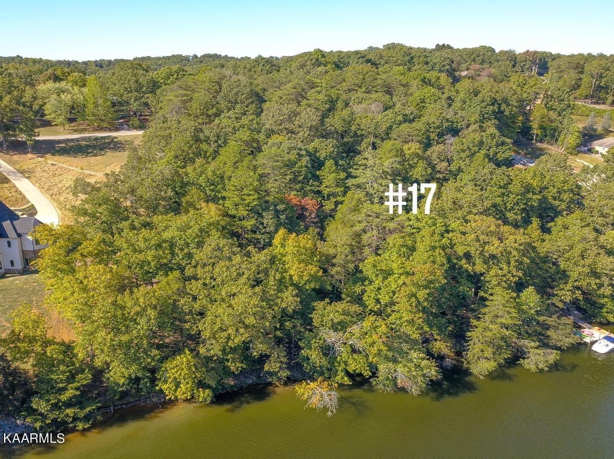 17 Blackberry Ridge Road Lenoir City, TN 37772 - Photo 16 of 20 Gallery Image 16