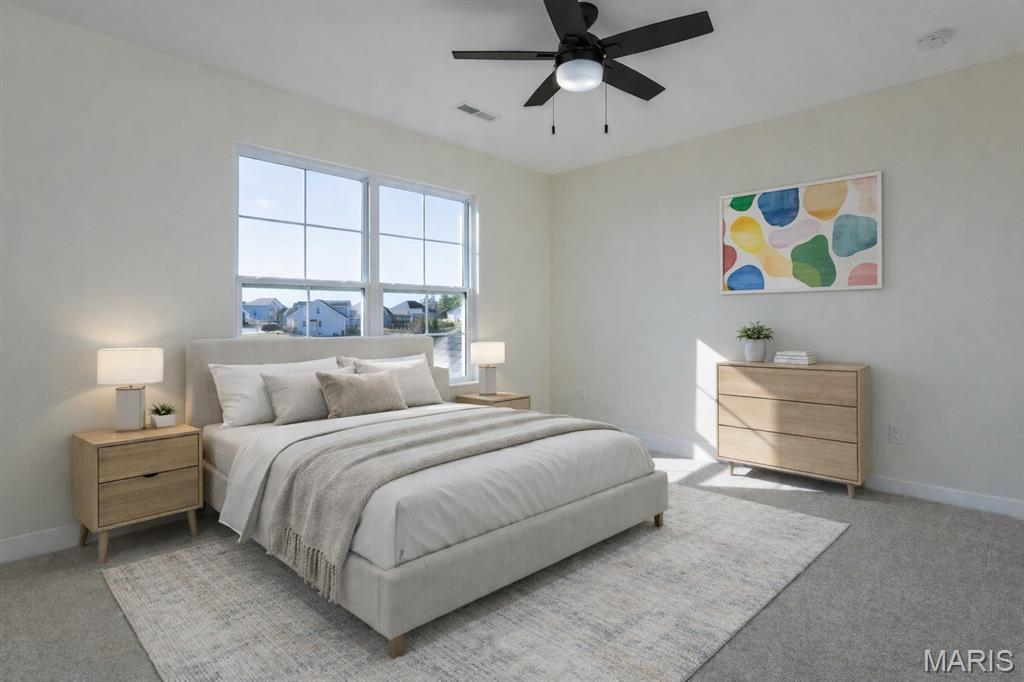 652 Tea Olive Boulevard O'Fallon, IL 62269 - Photo 47 of 72