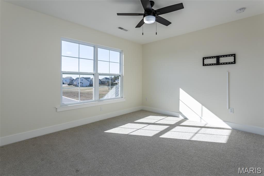 652 Tea Olive Boulevard O'Fallon, IL 62269 - Photo 48 of 72