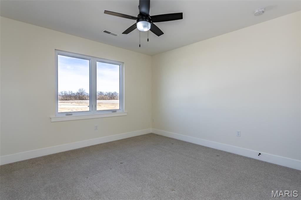 652 Tea Olive Boulevard O'Fallon, IL 62269 - Photo 56 of 73