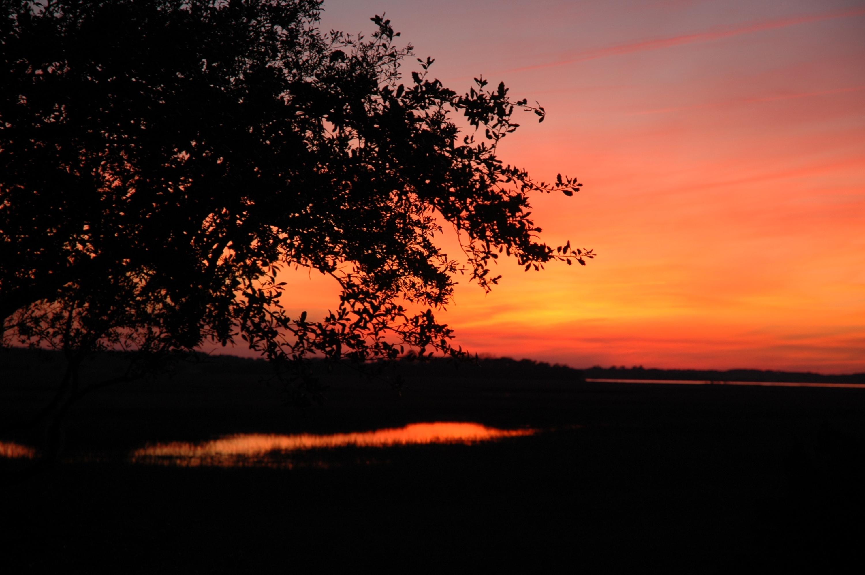 2595 Jenkins Point Road Seabrook Island, SC 29455 - Photo 48 of 49 DSC_0007