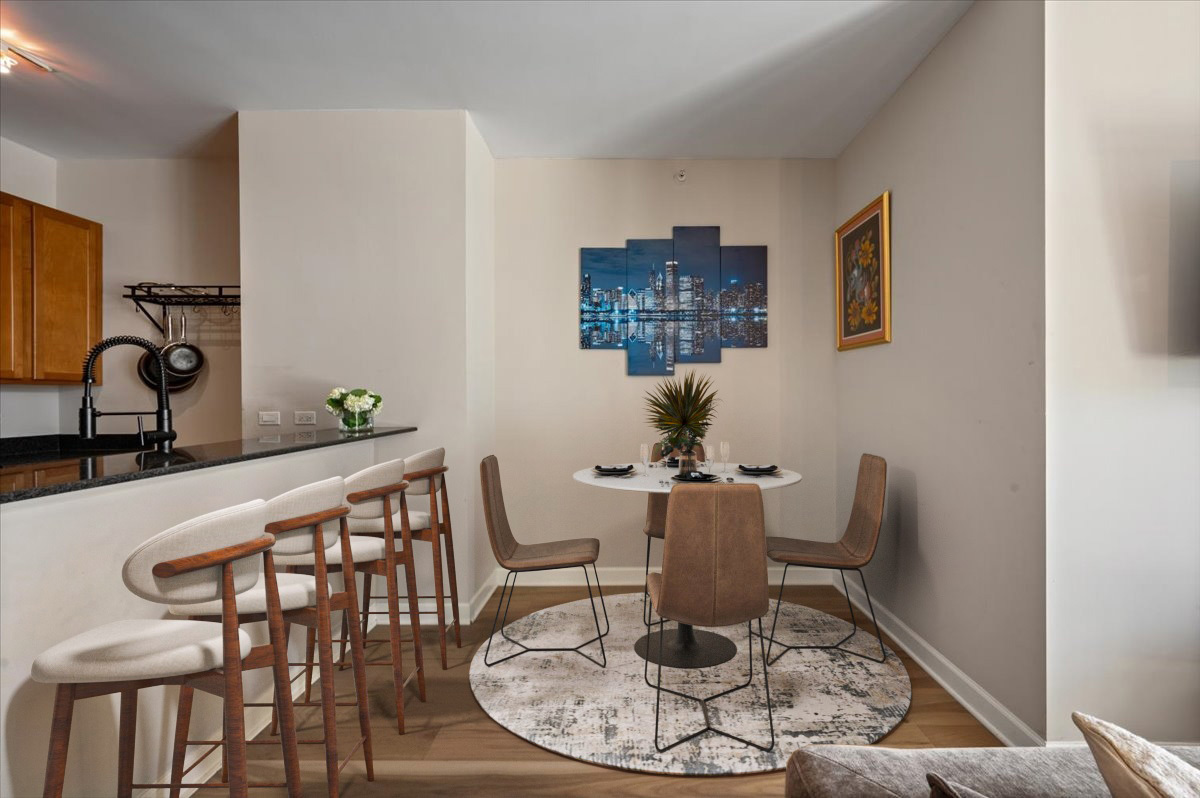 233 East 13th Street, Unit 508 Chicago, IL 60605 - Photo 7 of 27