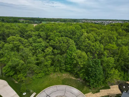 a view of a field of grass and trees