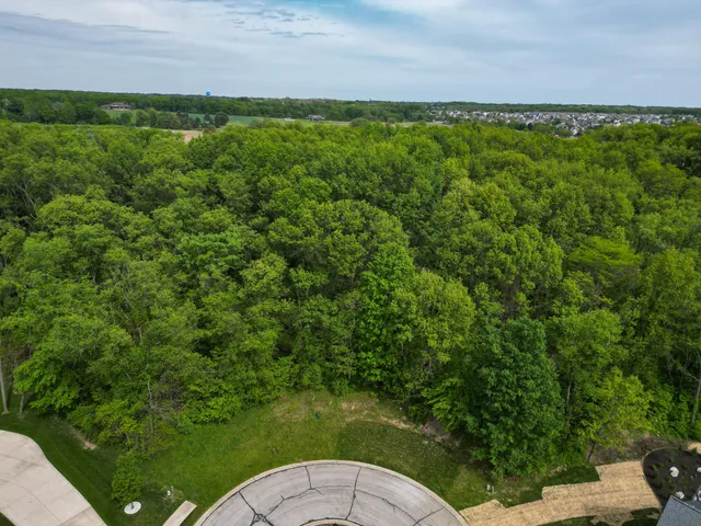 a view of a field of grass and trees