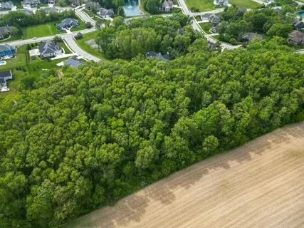 an aerial view of residential houses with outdoor space and trees